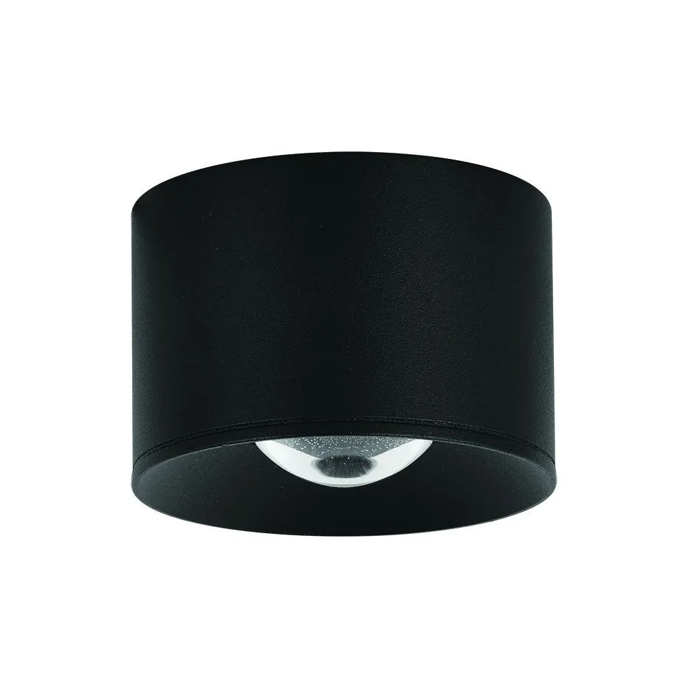 ZAMBELIS D80 12W IP54 DESIGN Deckenleuchte Schwarz Sandgestrahlt