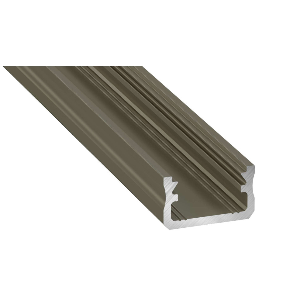 CLAREO 16x9 2m ADVANCE Aluminium Opbouwprofiel