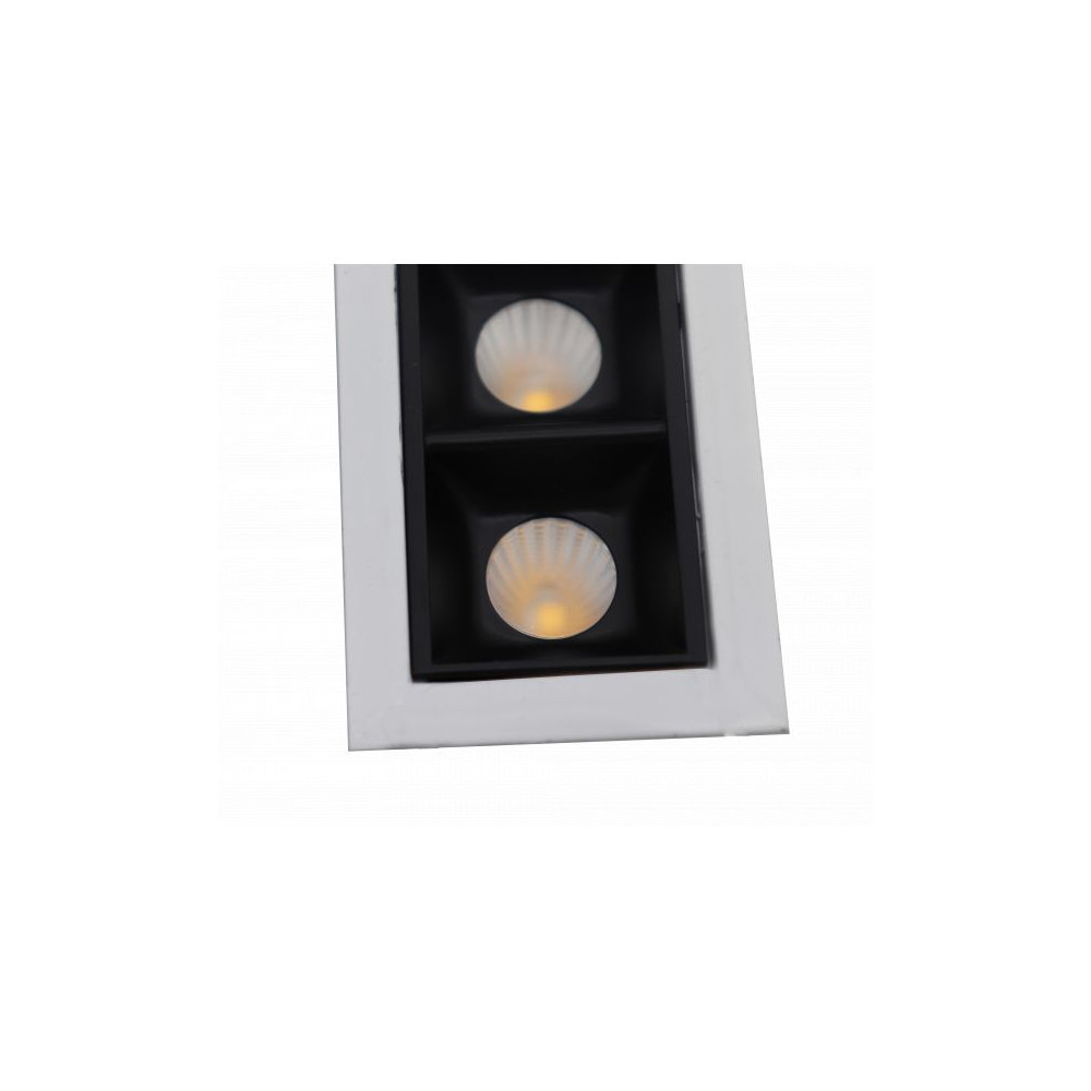 DownRay CLAREO 20W Optic DESIGN Wit Zwarte Reflector Zonder Driver