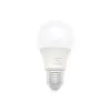 LED-lamp E27 CLAREO 4,9W START Pak van 50