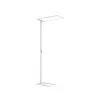 Zenith CLAREO 75W DESIGN White Floor Lamp