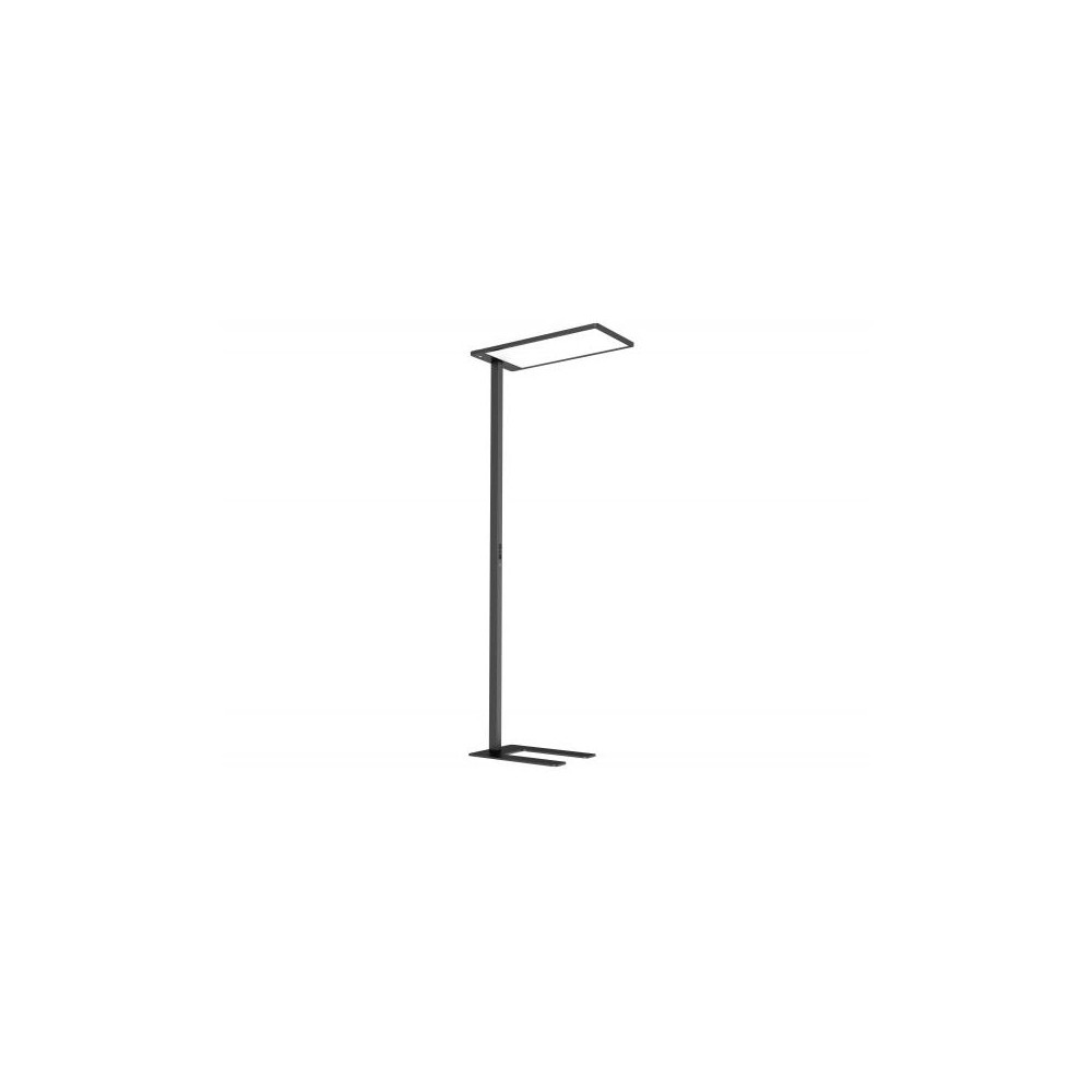 Zenith CLAREO 75W DESIGN Black Floor Lamp