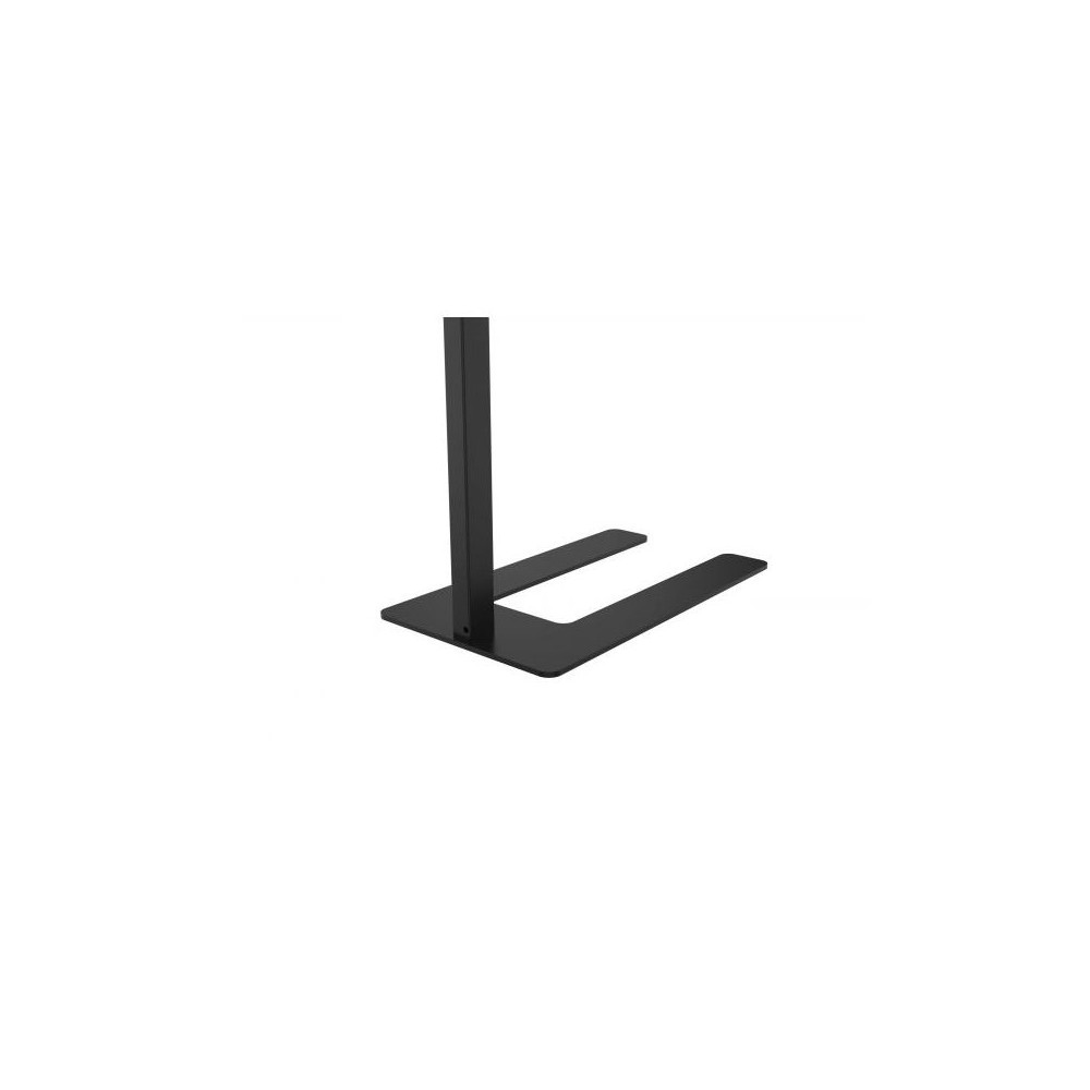 Zenith CLAREO 75W DESIGN Black Floor Lamp