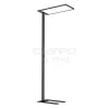 Zenith CLAREO 75W DESIGN Black Floor Lamp