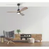Ventilateur ZAMBELIS D1320 15W DESIGN Noir Mat et Bois 19141