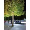 Schwenkbare Außen-Bodeneinbauleuchte ZAMBELIS D130 7W IP67 DESIGN Edelstahl E360