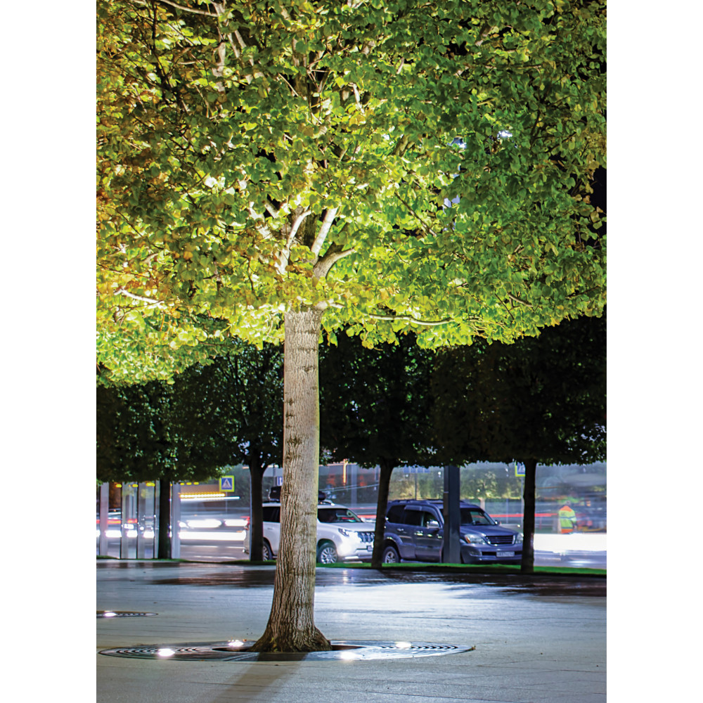 Orienteerbare Ingebouwde Grondspot Buiten ZAMBELIS D130 7W IP67 DESIGN Inox E360