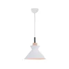 Suspension ZAMBELIS D250 E27 DESIGN Blanc Mat Sans Source 180066