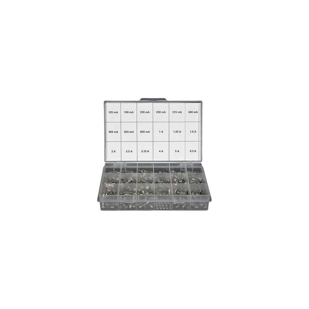 Koffer met 360 glazen zekeringen 5x20 snelle smelting voor laagspanning EUR'OHM 29350