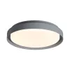 Outdoor Ceiling Light ZAMBELIS D270 20W IP65 DESIGN Graphite E327