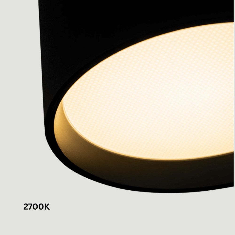 Plafondlamp ZAMBELIS D120 12W Dimbaar DESIGN Zandzwart 25216