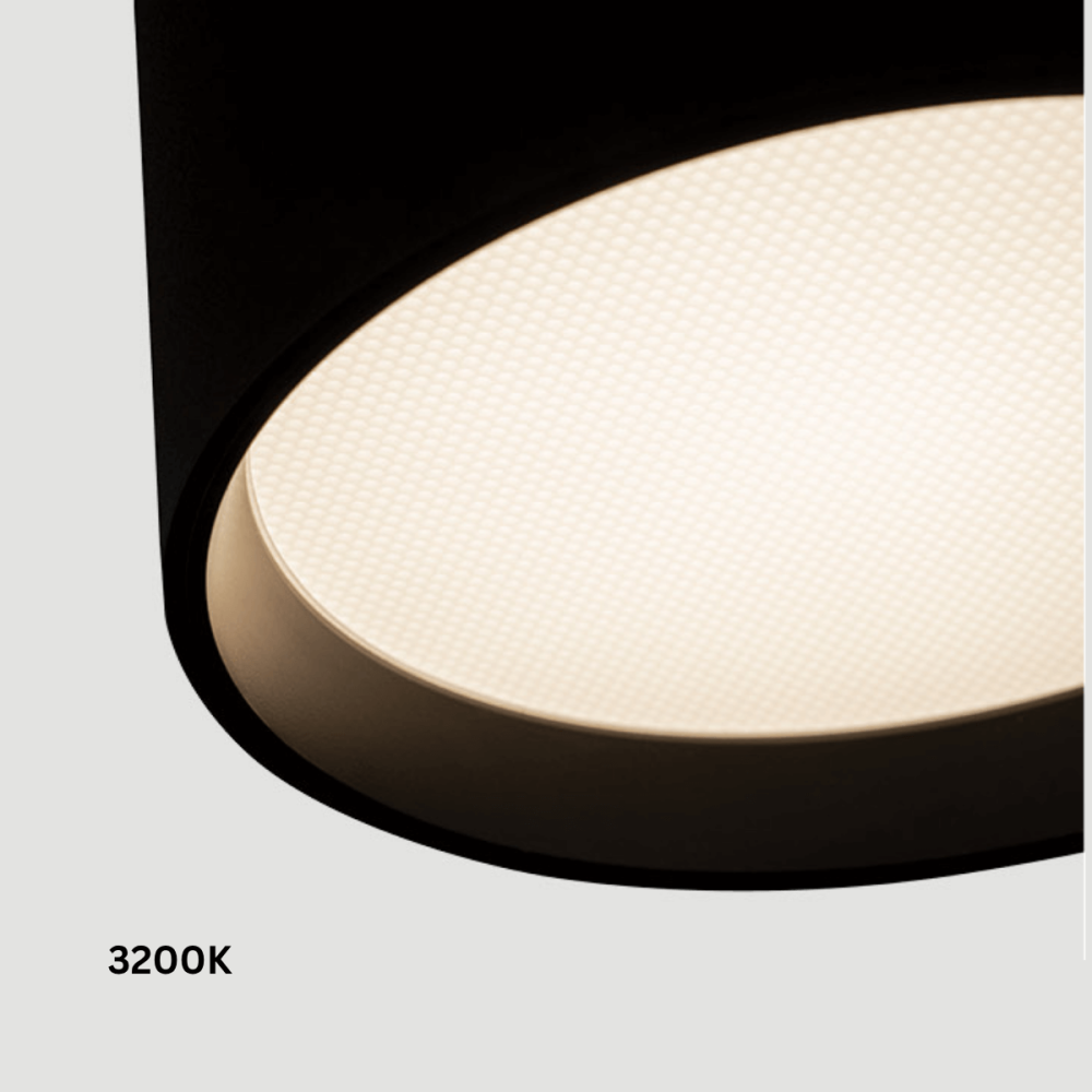 Ceiling Light ZAMBELIS D120 12W Dimmable DESIGN Sandblasted Black 25216