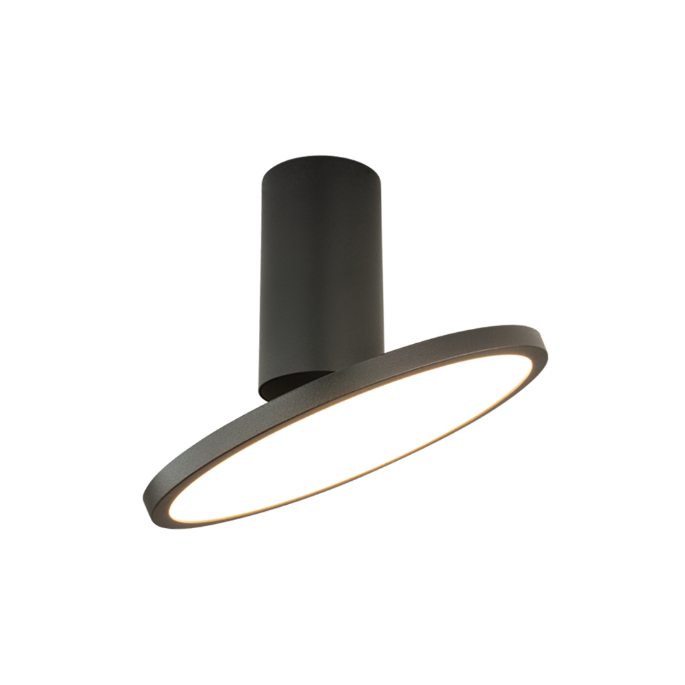 Plafonnier Orientable ZAMBELIS 12W DESIGN Noir Sablé 25304