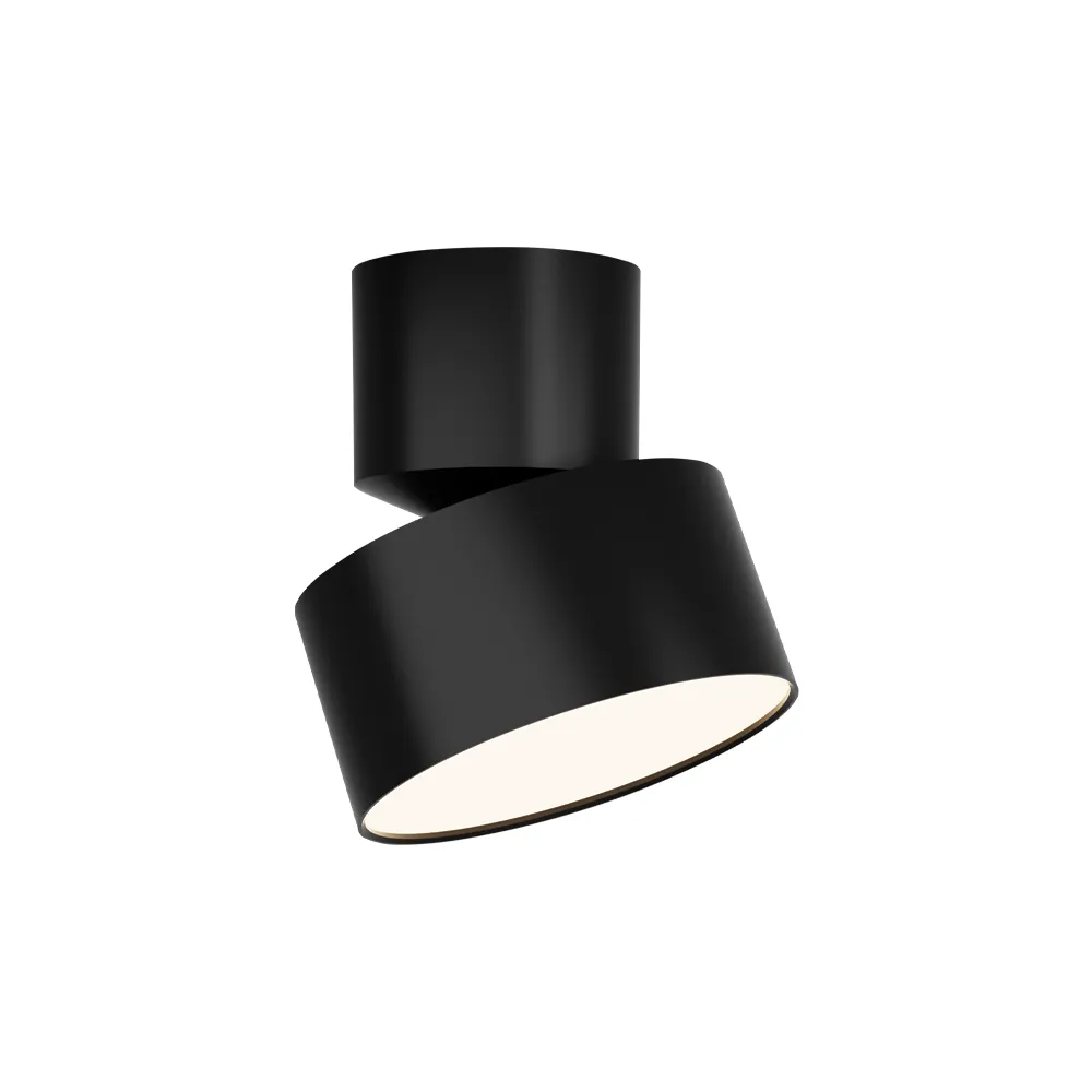 Adjustable Ceiling Light ZAMBELIS D110 DESIGN Sandblasted Black 25312