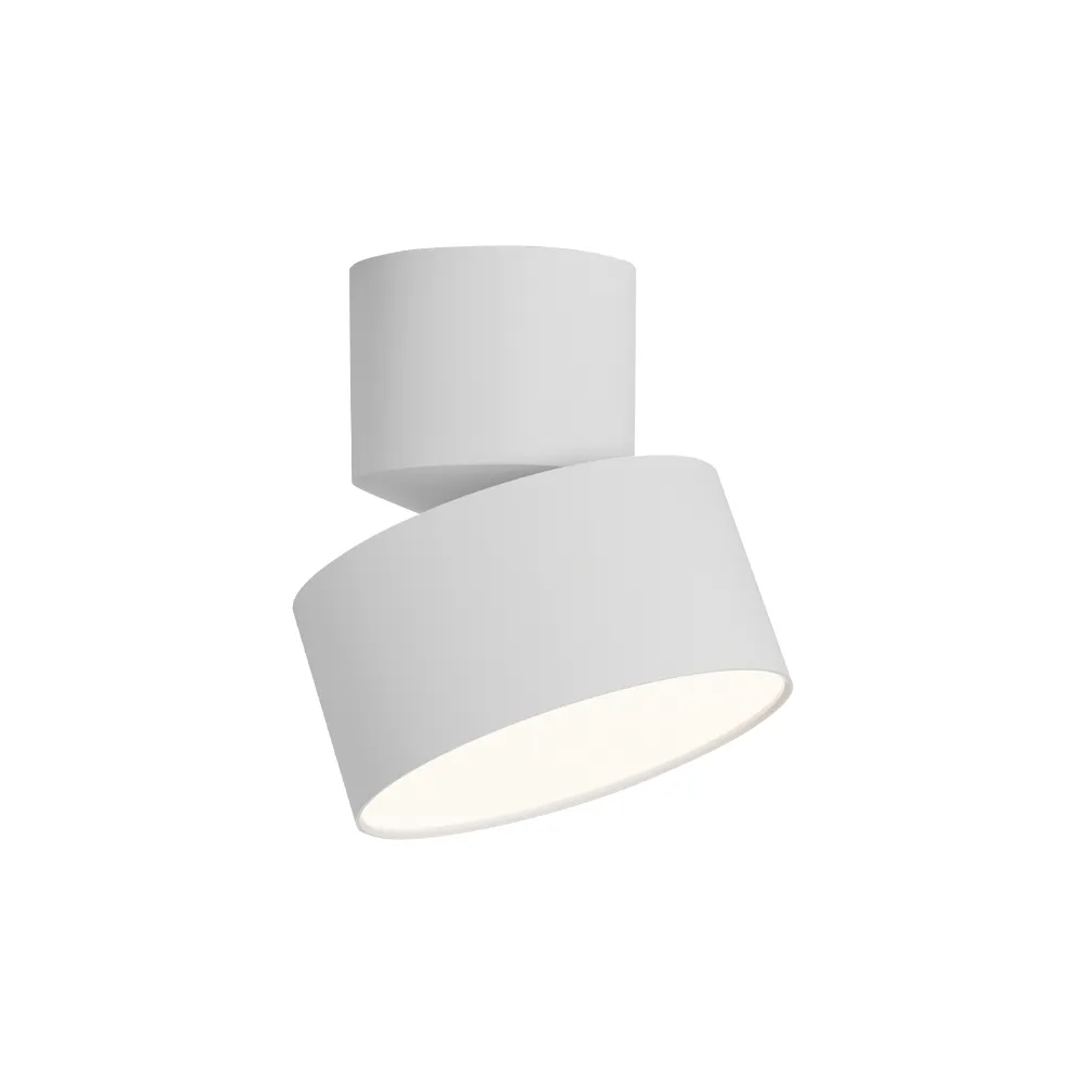 Adjustable Ceiling Light ZAMBELIS D110 DESIGN Sandblasted White 25313