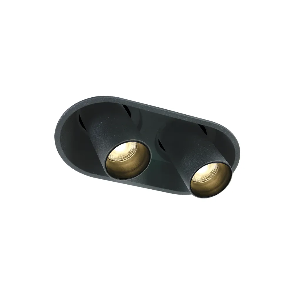 DownRay Recessed Adjustable ZAMBELIS 2x9W DESIGN Sandblasted Black With Driver 25363