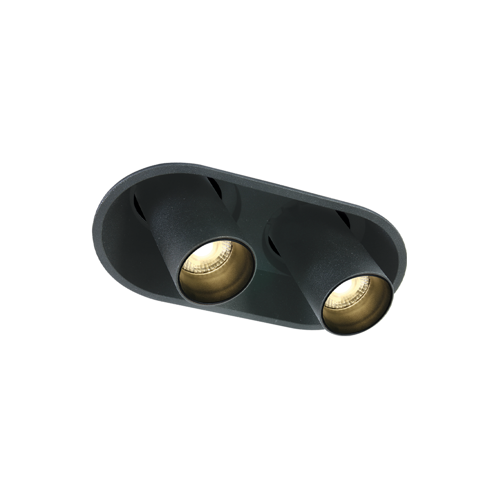 DownRay Encastré Orientable ZAMBELIS 2x9W DESIGN Noir Sablé Avec Driver 25363