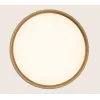 Ceiling Light ZAMBELIS D400 20W CCT Dimmable DESIGN Matt White and Gold 25185