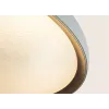 Ceiling Light ZAMBELIS D400 20W CCT Dimmable DESIGN Matt White and Gold 25185