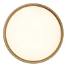 Deckenleuchte ZAMBELIS D400 20W CCT Dimmbar DESIGN Mattschwarz und Gold 25186