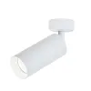 Ceiling Light ZAMBELIS D60 9W 15deg DESIGN Matte White S054-15