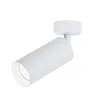 Plafondlamp ZAMBELIS D60 9W 24deg DESIGN Mat Wit S054-24 FS