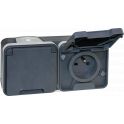 Double Prise de Courant 2P+T Horizontale Saillie OXXO IP55 Gris EUR'OHM 60841