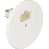 DCL-deksel middencentrum 850° EUR'OHM 53018