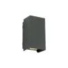 Outdoor Wall Light ZAMBELIS 2x3W Direct/Indirect IP65 DESIGN Graphite E412