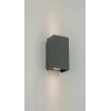 Outdoor Wall Light ZAMBELIS 2x3W Direct/Indirect IP65 DESIGN Graphite E412