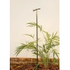 Grondspot op Paal ZAMBELIS H900 12W IP65 DESIGN Groen E456 FS