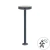 Borne Extérieure Solaire Détecteur ZAMBELIS H490 2W IP54 DESIGN Graphite E449