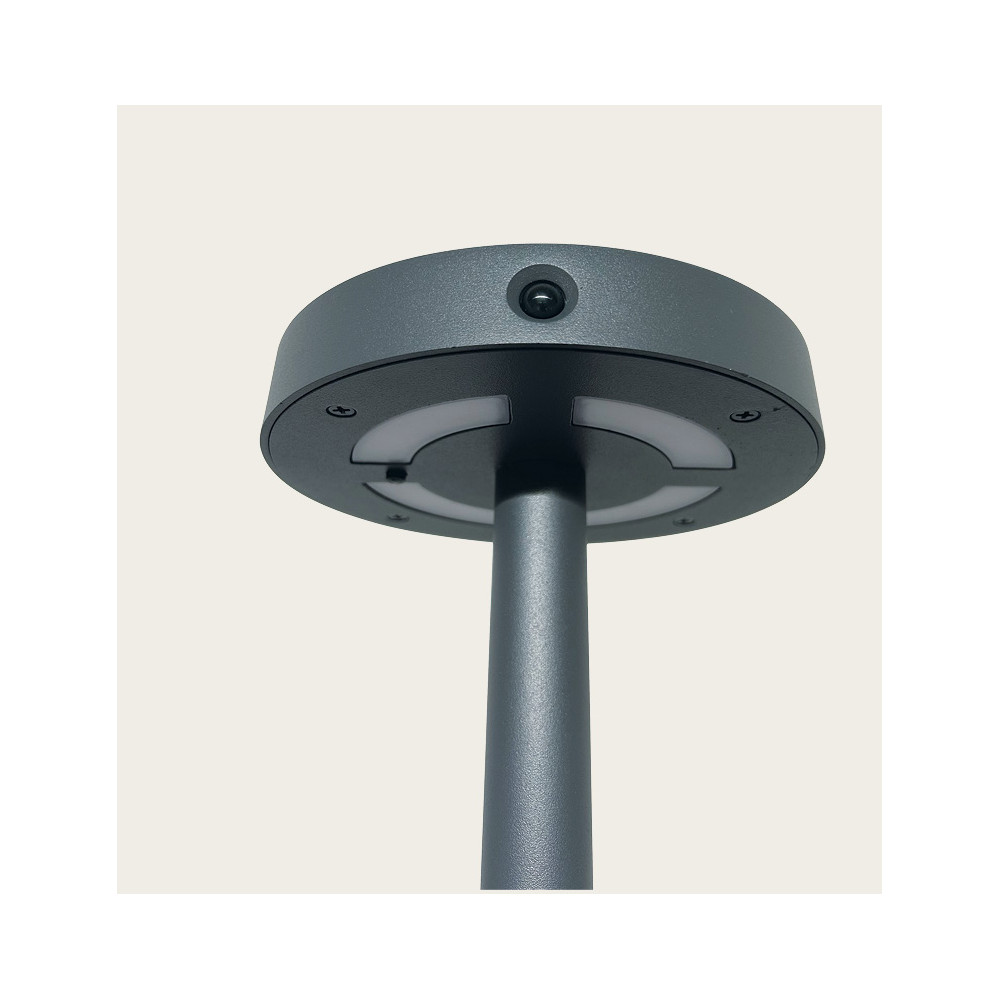 Borne Extérieure Solaire Détecteur ZAMBELIS H490 2W IP54 DESIGN Graphite E449