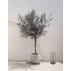 Borne Extérieure ZAMBELIS H500 9,2W IP65 DESIGN Graphite E444 FS