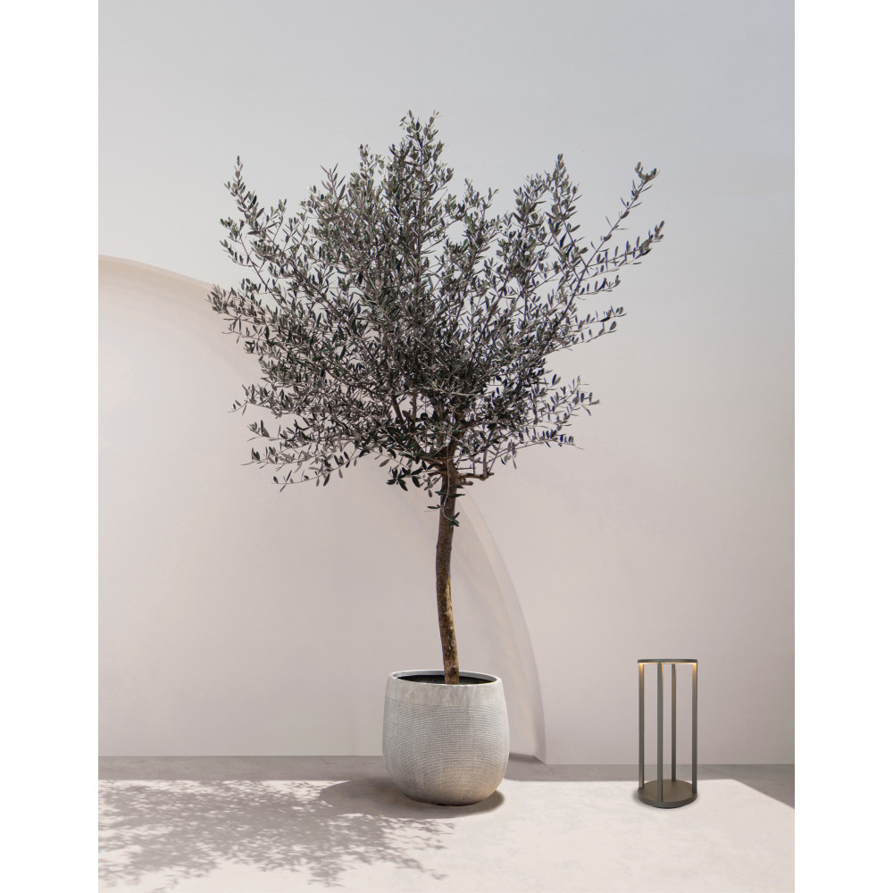 Außenpoller ZAMBELIS H500 9,2W IP65 DESIGN Graphit E444 FS