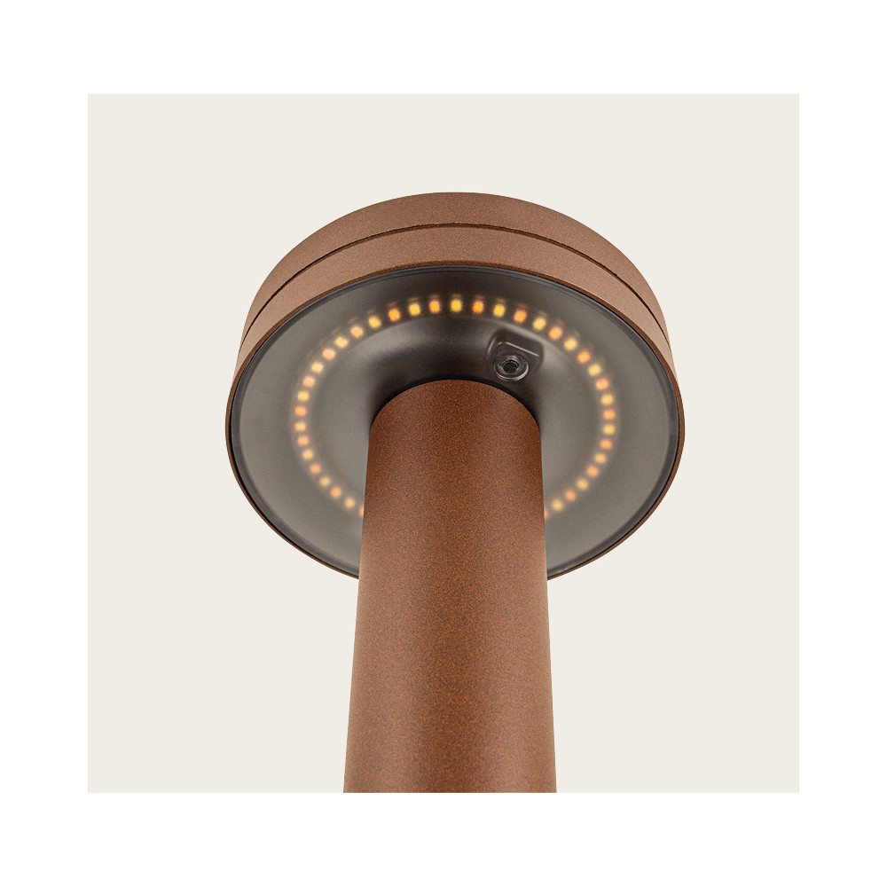 Borne Extérieure ZAMBELIS H800 12W CCT IP65 DESIGN Marron Foncé E466 FS