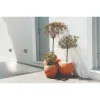 Buitenwandlamp ZAMBELIS D105 2W IP65 DESIGN Grafiet E294