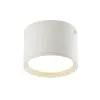 Ceiling Light ZAMBELIS D110 8W DESIGN Sand White 22133