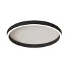 Ceiling Light ZAMBELIS D590 38W CCT Dimmable DESIGN Brushed Black 25167