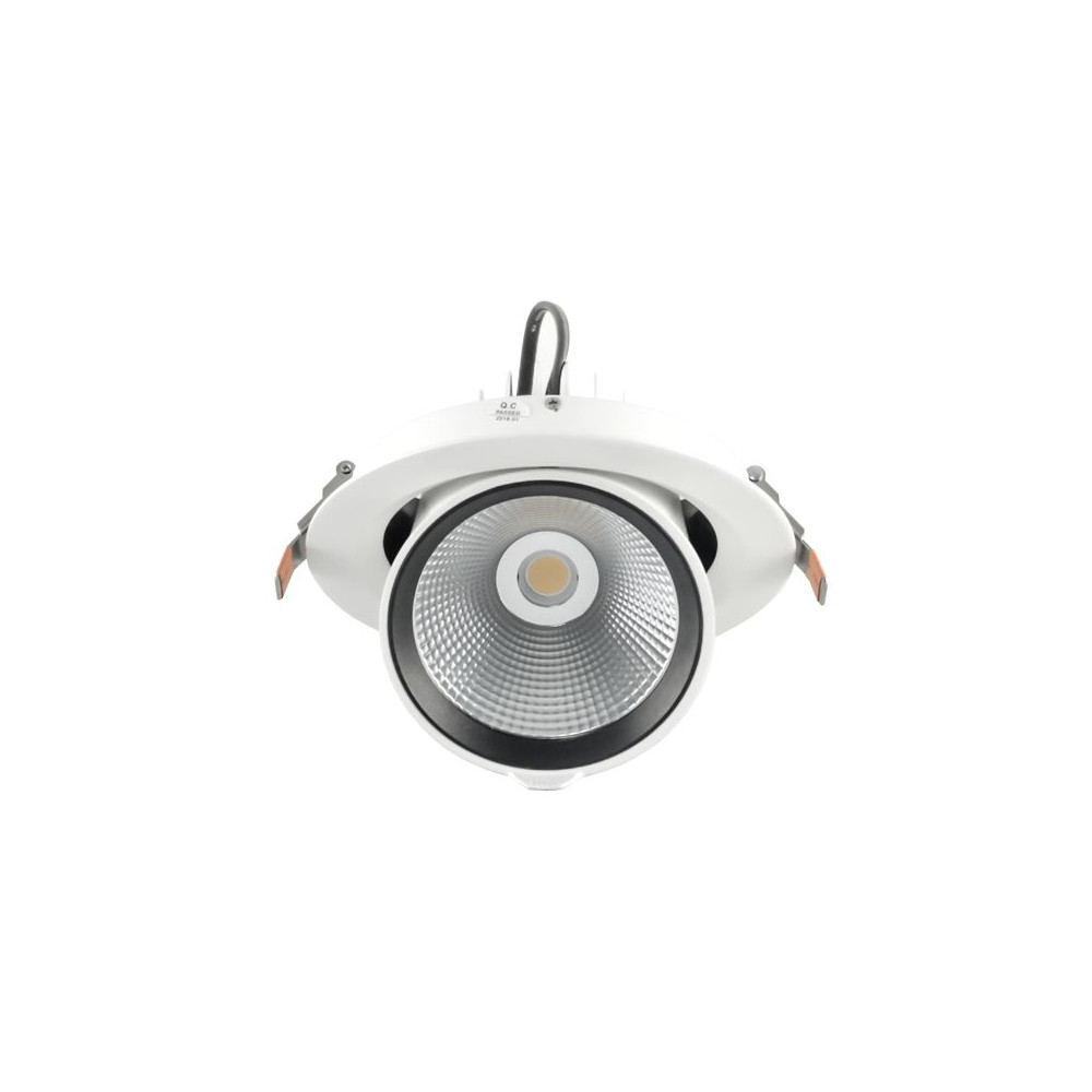DownRay Orientable CLAREO 30W ADVANCE Blanc Sans Driver