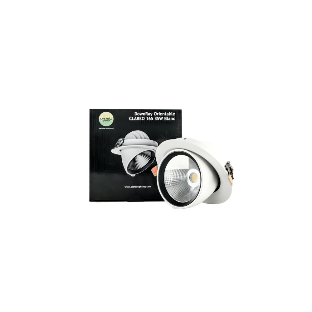 DownRay Orientable CLAREO 30W ADVANCE Blanc Sans Driver