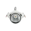 DownRay Adjustable CLAREO 40W ADVANCE White Without Driver
