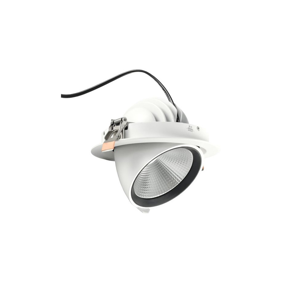 DownRay Adjustable CLAREO 40W ADVANCE White Without Driver