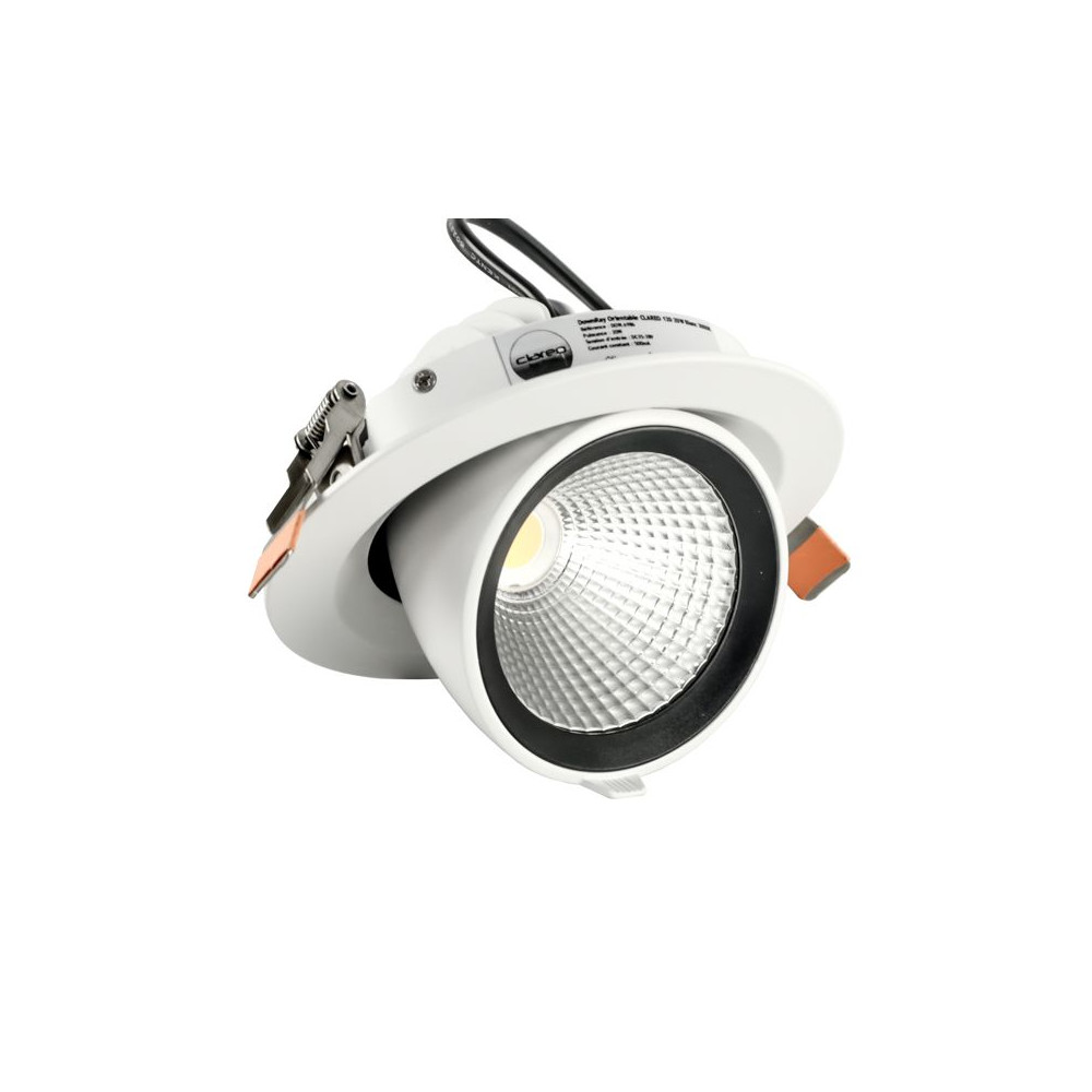DownRay Orientable CLAREO 20W ADVANCE Blanc Sans Driver