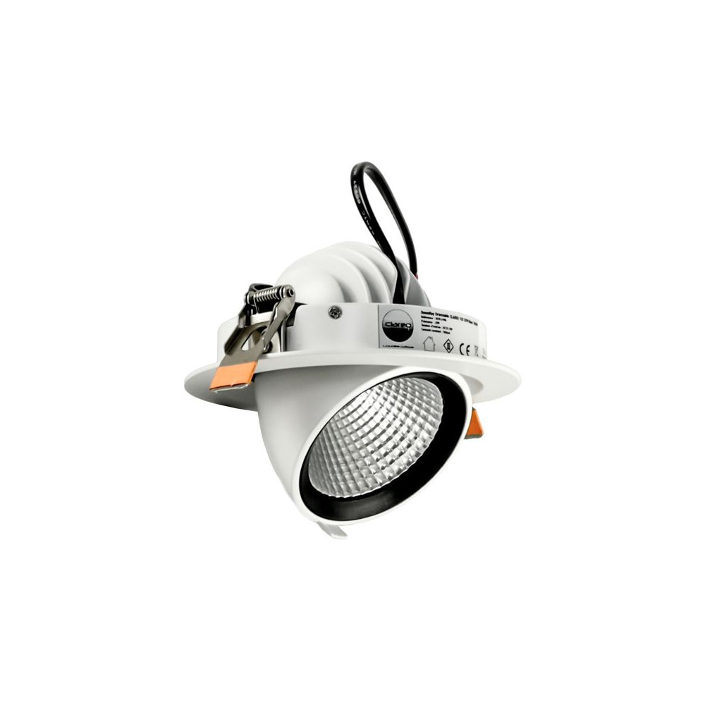 DownRay Adjustable CLAREO 20W ADVANCE White Without Driver