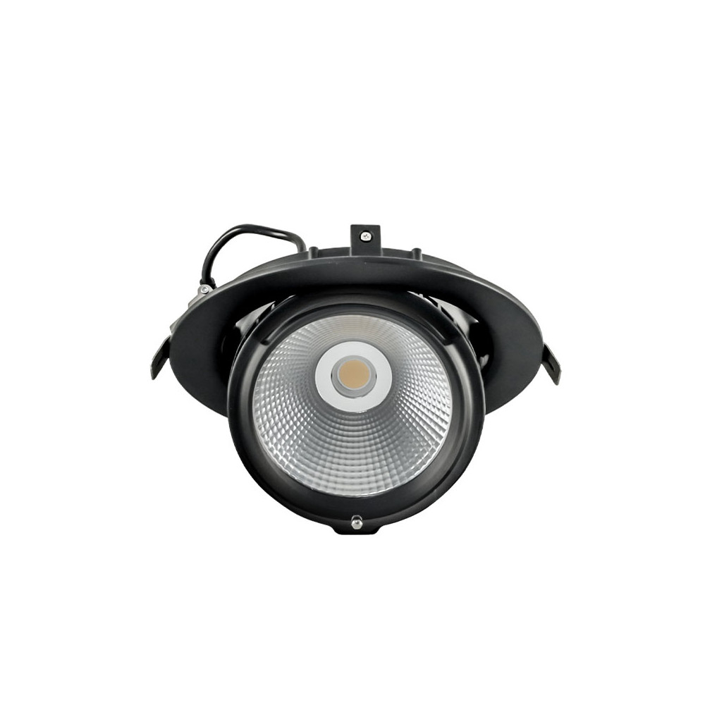 DownRay Verstelbaar CLAREO 20W ADVANCE Zwart Zonder Driver