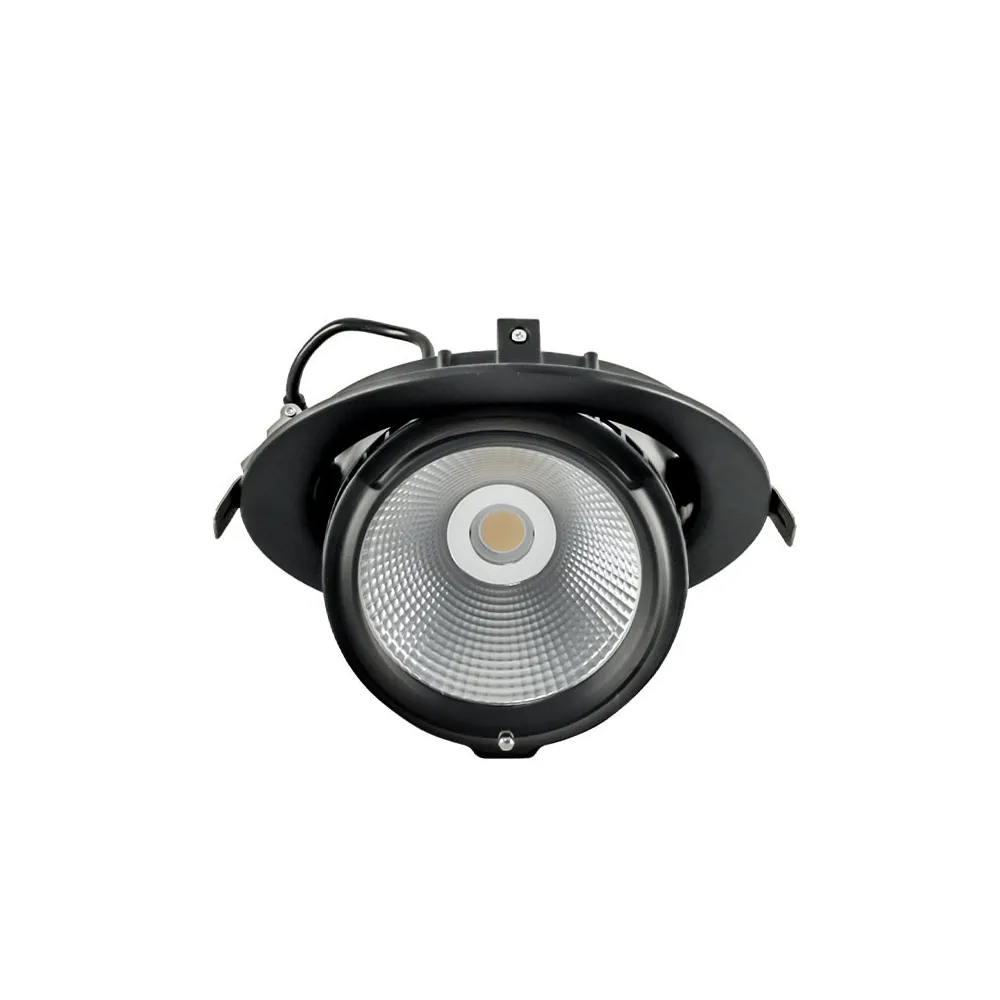 Schwenkbarer DownRay CLAREO 30W ADVANCE Schwarz Ohne Treiber