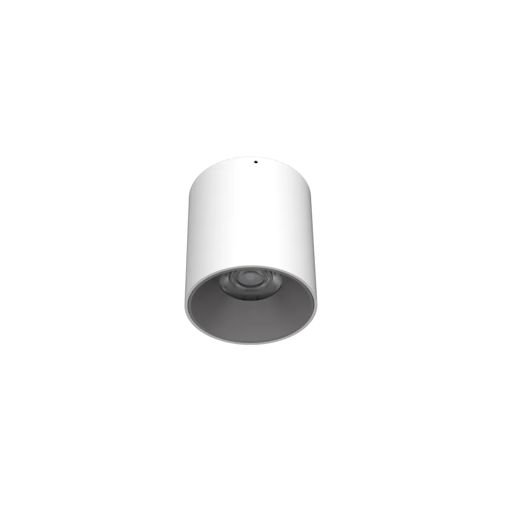 DownRay Opbouw CLAREO 10W 120lm/W DESIGN 2 Wit Zonder Driver