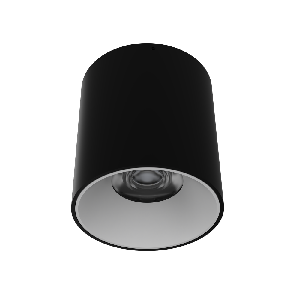 DownRay Opbouw CLAREO 30W 120lm/W DESIGN 2 Zwart Zonder Driver