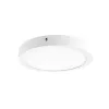 DownRay Surface-mounted CLAREO 40W ADVANCE 2 Without Driver
